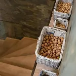 Wellness Zrub Durik Bystra * Horná Lehota