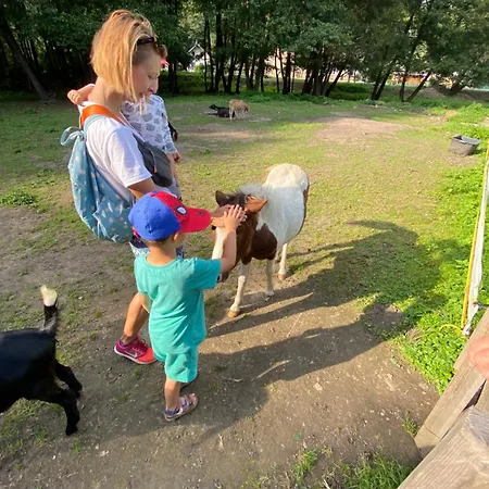 Шале Wellness Durik Bystra - Chopok Jasna South, Tale