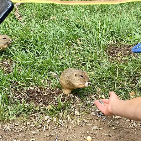 Wellness Durik Bystra - Chopok Jasna South, Tale *