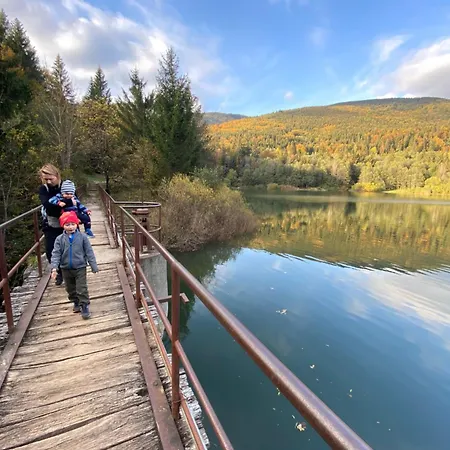 Alpesi faház Wellness Zrub Durik Bystra *