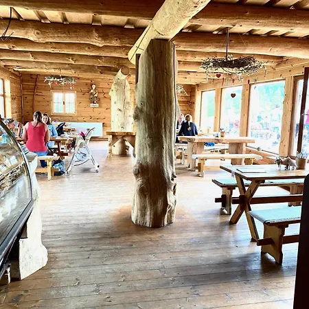 Wellness Durik Bystra - Chopok Jasna South, Tale Dağ evi *