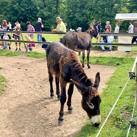 Wellness Durik Bystra - Chopok Jasna South, Tale * Horna Lehota